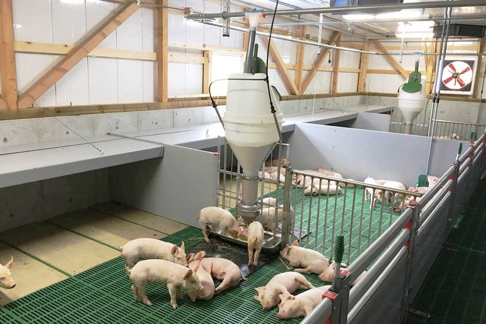 FUNKIMAT WEANER WITH STAINLESS STEEL TROUGH FUNKIMAT WEANER WITH STAINLESS STEEL TROUGH