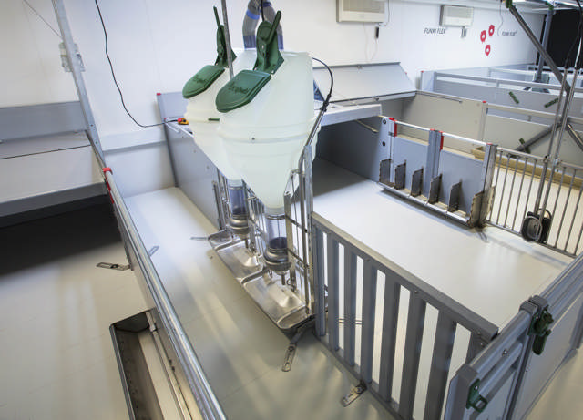 DOBBELT FUNKIMAT SMÅGRISE - SAMLET