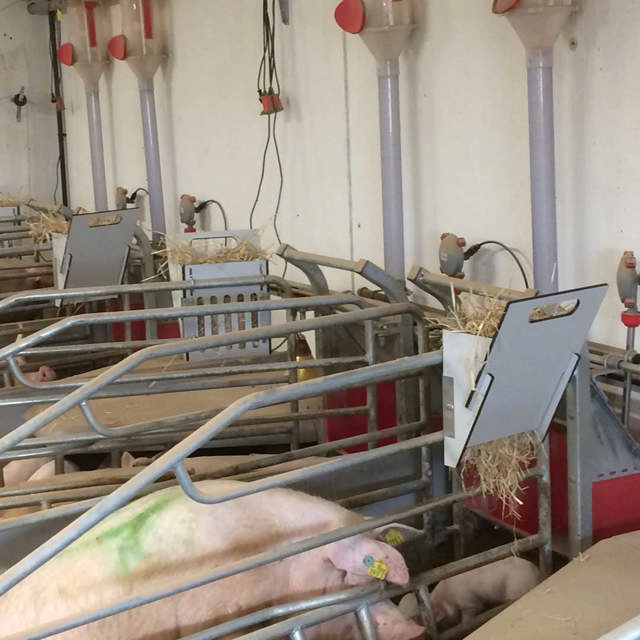 HALMHÆK 10 LITER TIL FARESTALD, FIBER