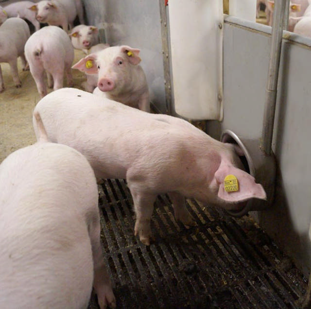 MULTI DRIKKEKOP KOMPLET