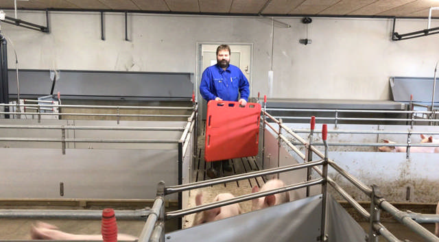 SCHWEINE-TREIBBRETT 460X770 MM