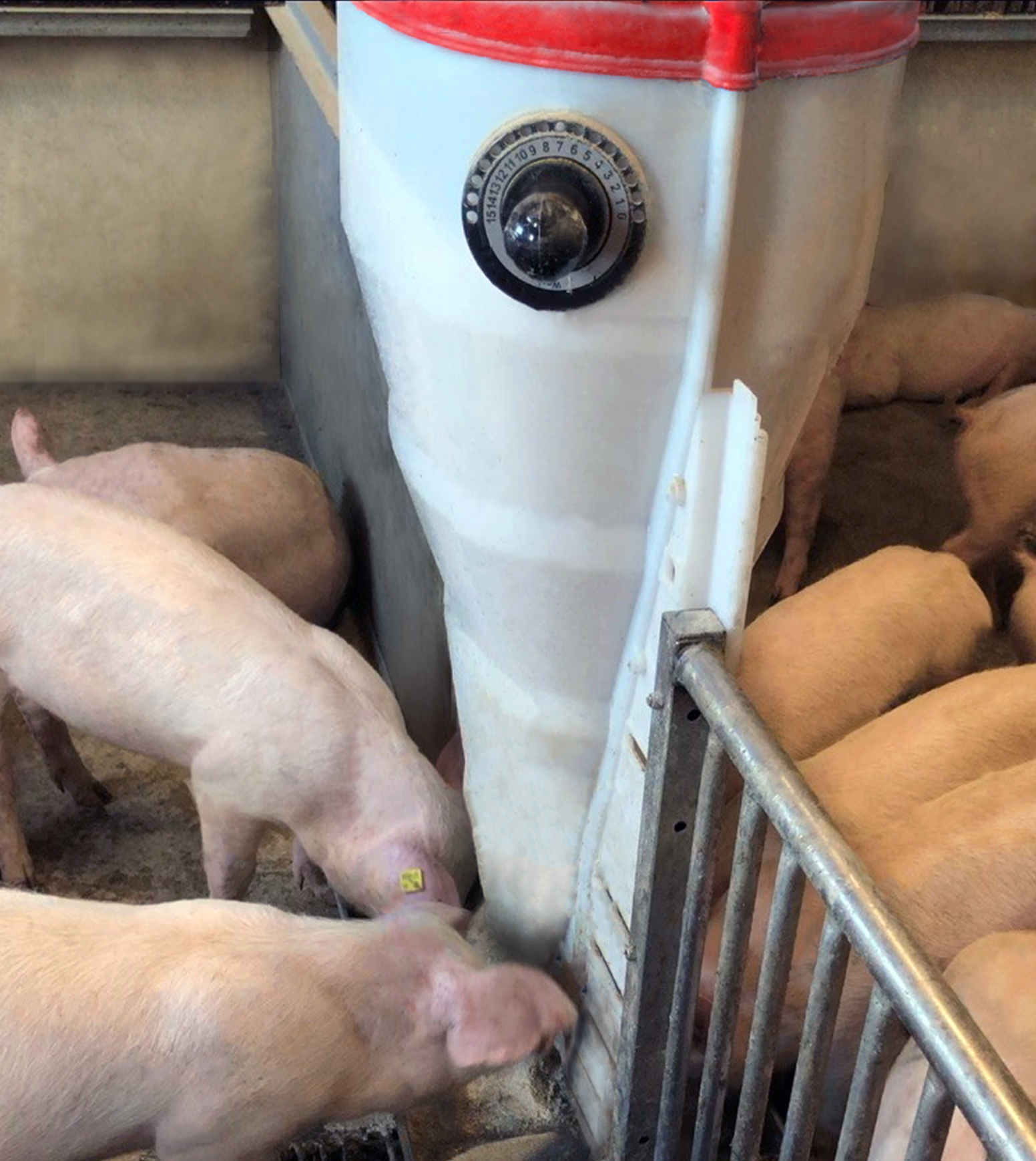 TURBOMAX FEEDER 7-30 KG