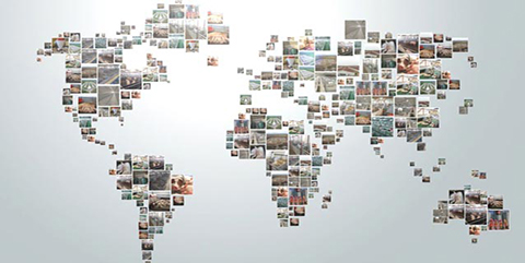 Video - Complete solution for your professional pig farm